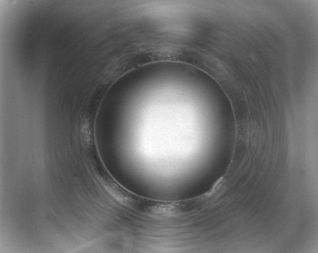 X0000071830086200606301330