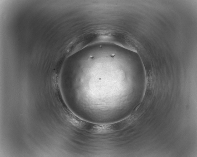 X0000071830093200606301330