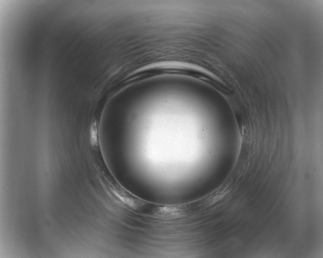 X0000071830095200606301330