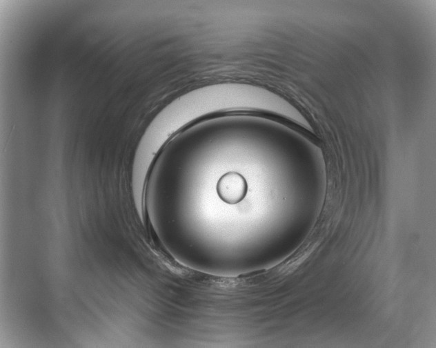 X0000071830096200606301330