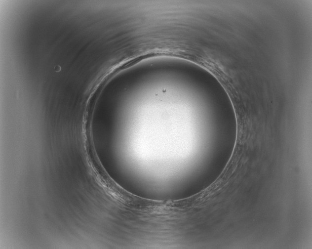 X0000071830098200606301329