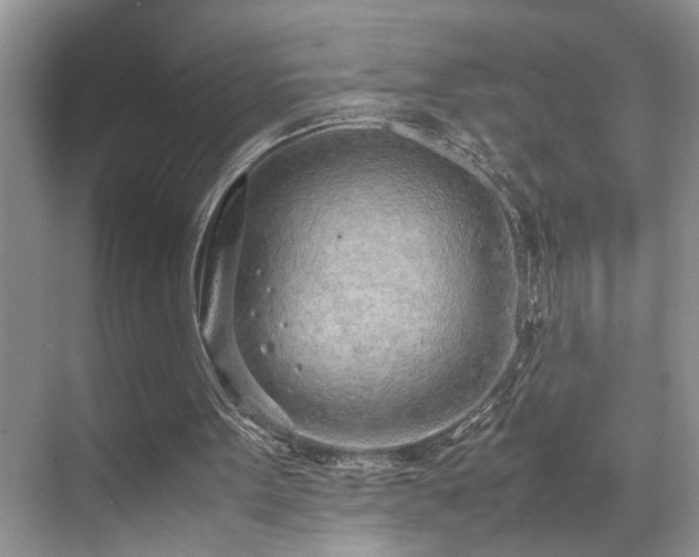 X0000071830099200606301329