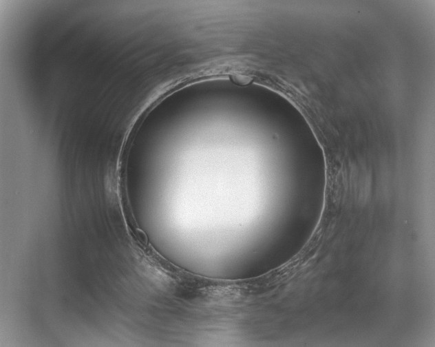 X0000071830100200606301329