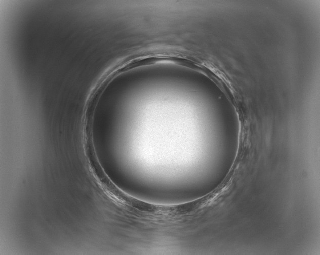 X0000071830101200606301329