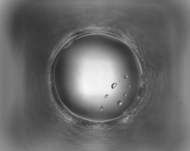 X0000071830103200606301329