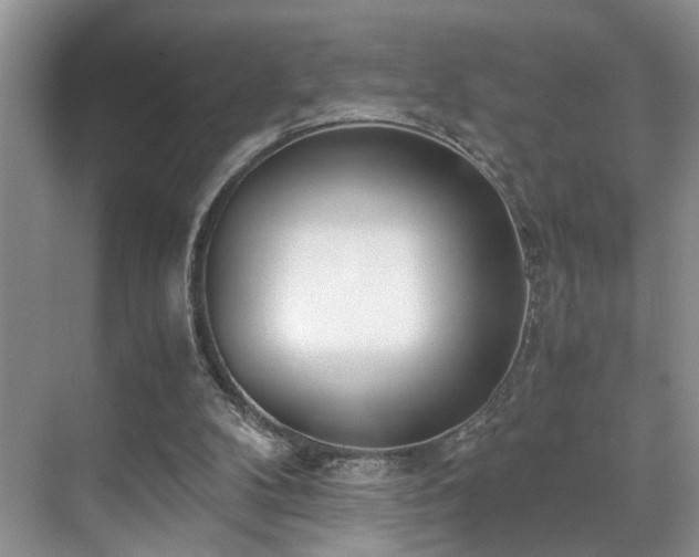 X0000071830104200606301329