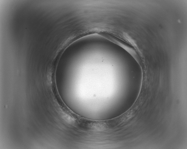 X0000071830106200606301329