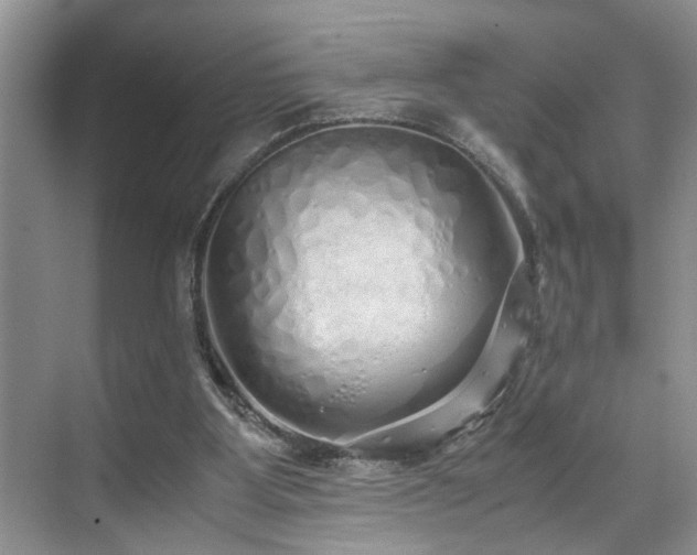 X0000071830107200606301329