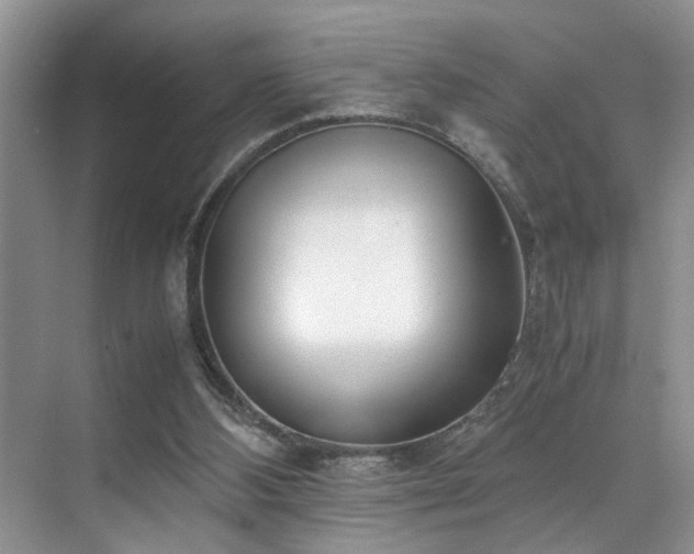 X0000071830108200606301329