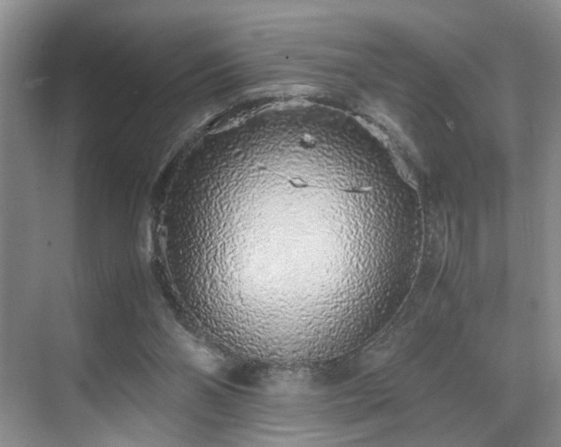 X0000071830110200606301329