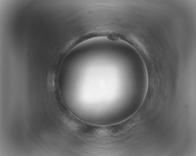 X0000071830115200606301329