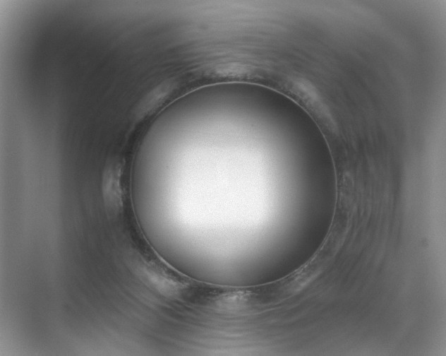 X0000071830116200606301329