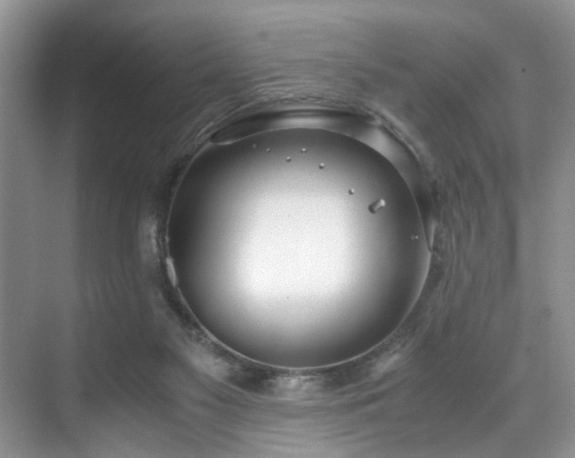 X0000071830117200606301329