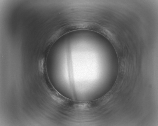 X0000071830118200606301329