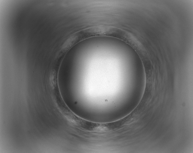 X0000071830119200606301329