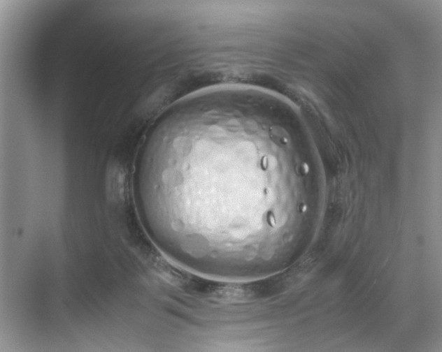 X0000071830123200606301329