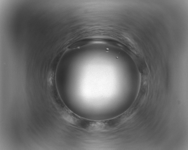 X0000071830125200606301329