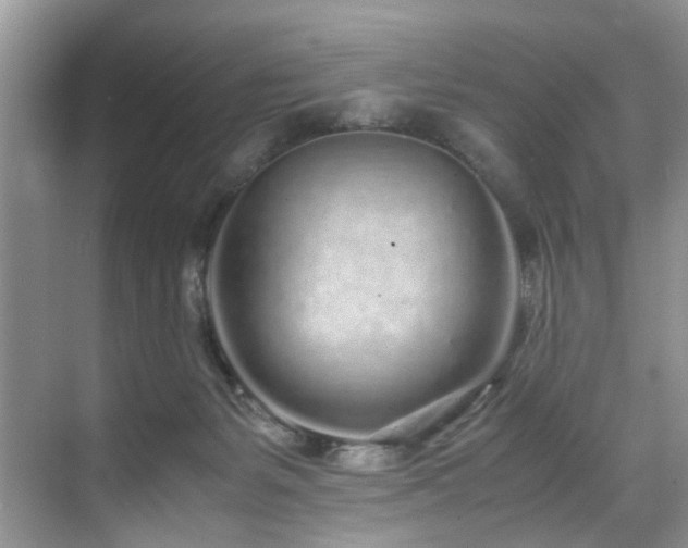 X0000071830127200606301329