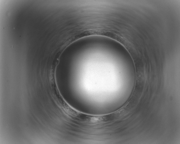 X0000071830130200606301328