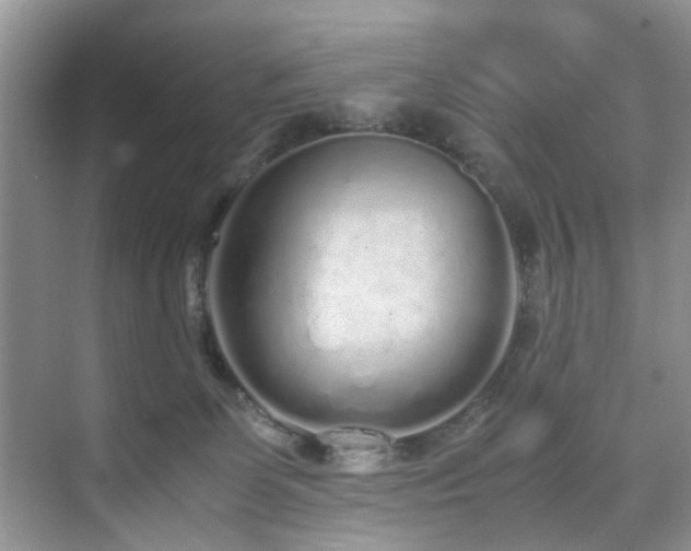 X0000071830131200606301328