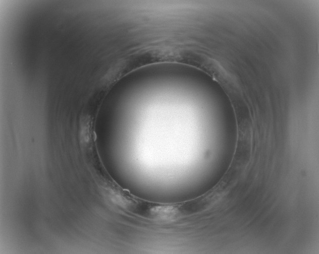 X0000071830133200606301328