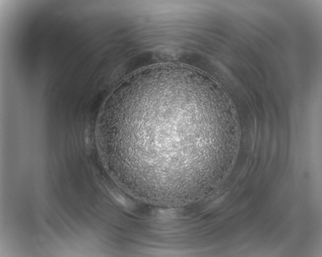 X0000071830134200606301328