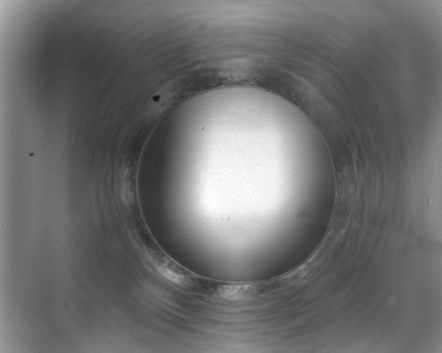 X0000071830136200606301328