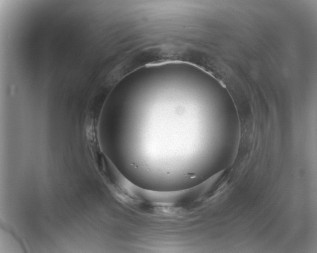 X0000071830137200606301328