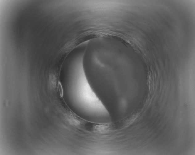 X0000071830139200606301328