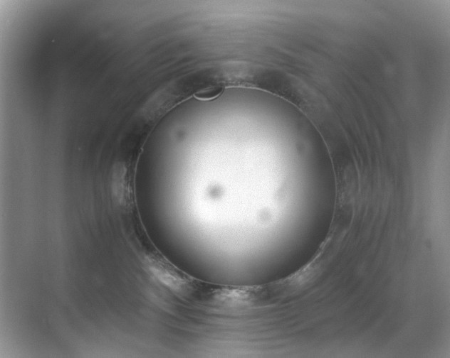 X0000071830140200606301328