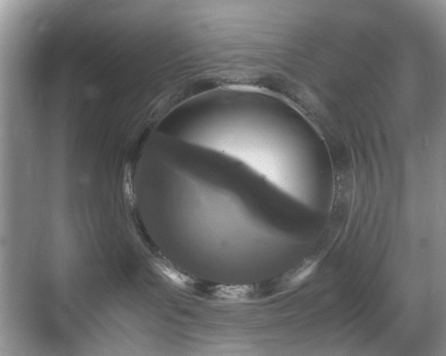 X0000071830143200606301328