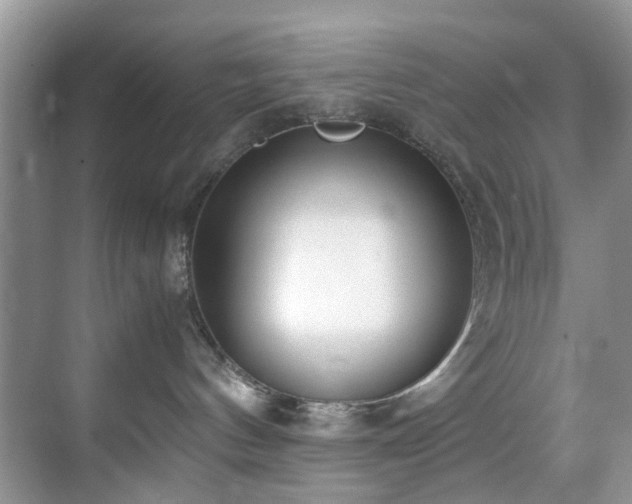 X0000071830144200606301328