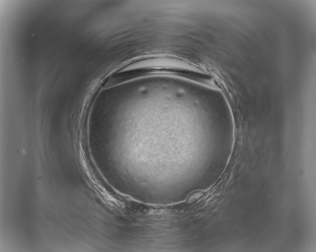 X0000071830145200606301327