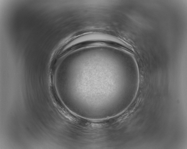 X0000071830149200606301328