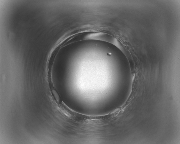 X0000071830150200606301328