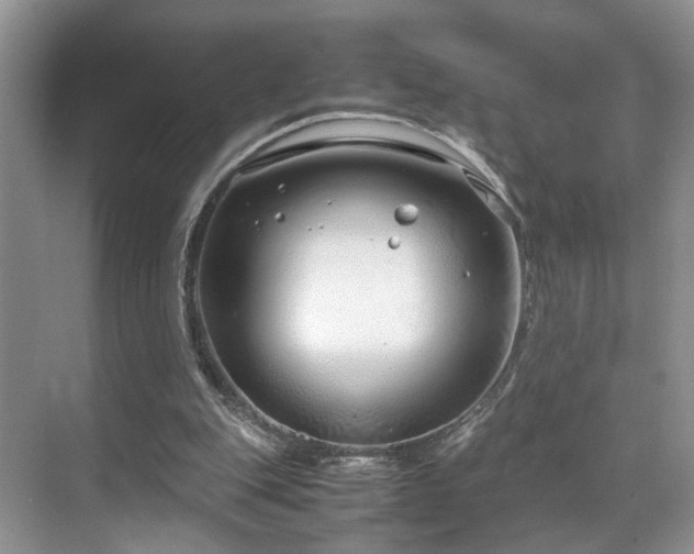 X0000071830151200606301328