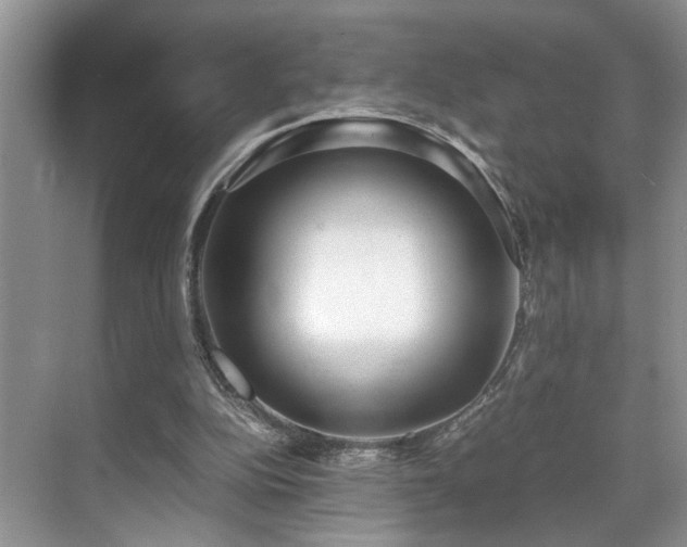 X0000071830152200606301328