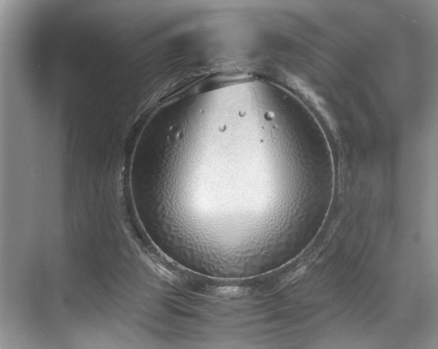 X0000071830153200606301328