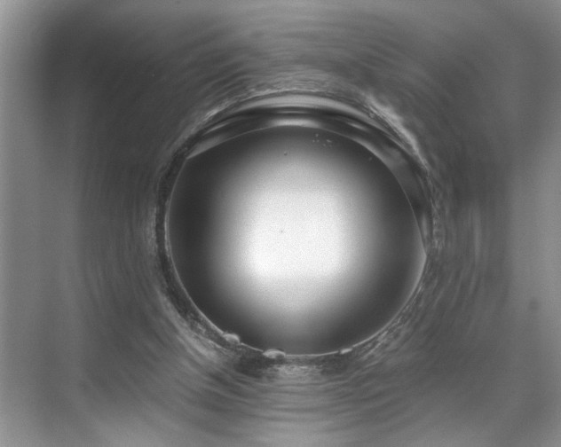 X0000071830154200606301328