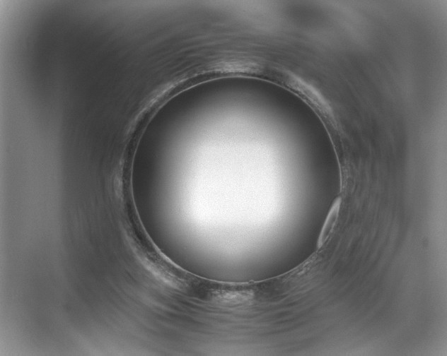 X0000071830155200606301328