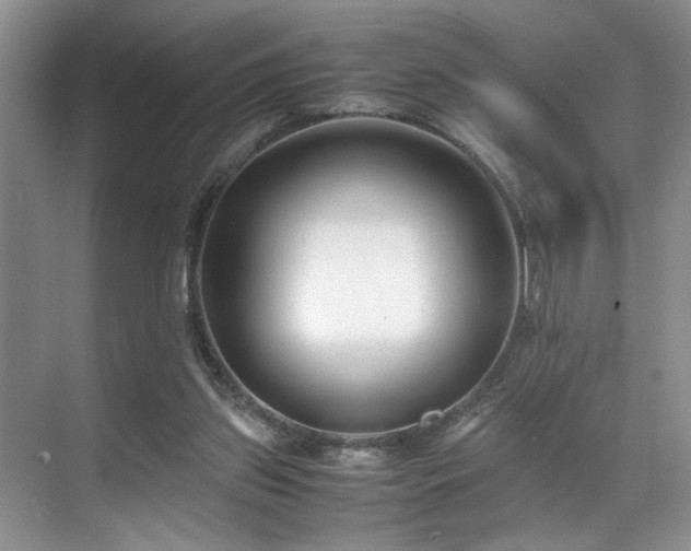 X0000071830157200606301328