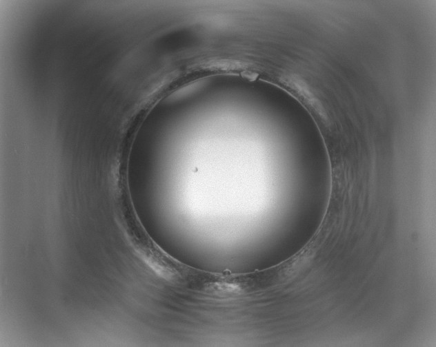 X0000071830159200606301328