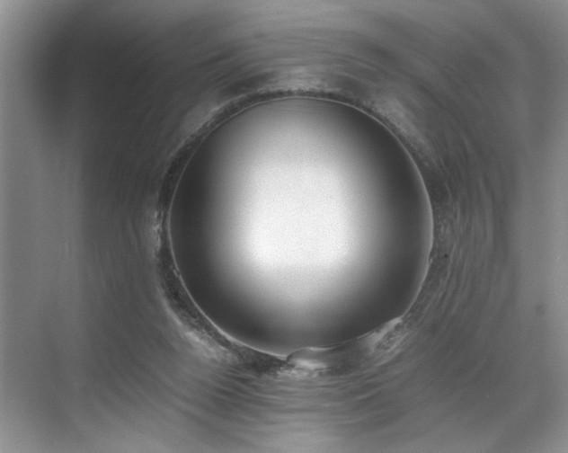 X0000071830160200606301328