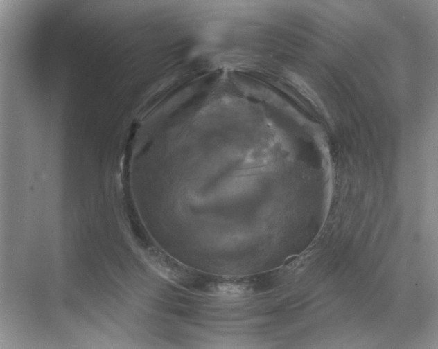 X0000071830163200606301328