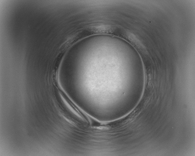 X0000071830165200606301328