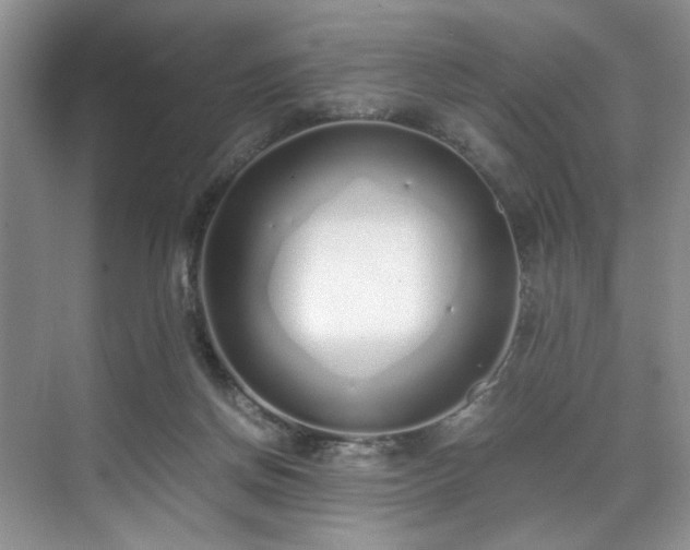 X0000071830166200606301328