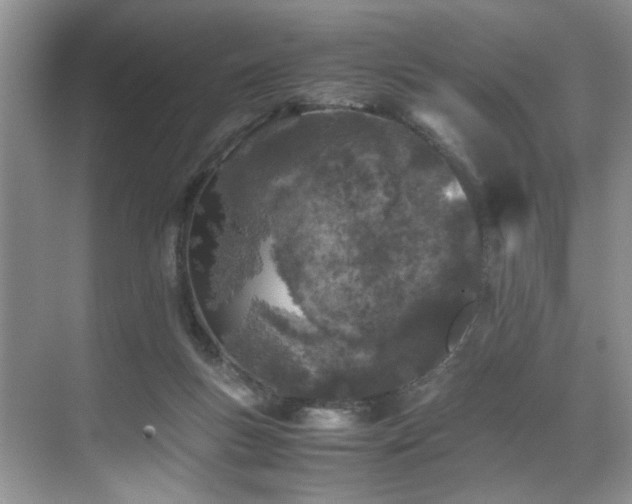 X0000071830167200606301328