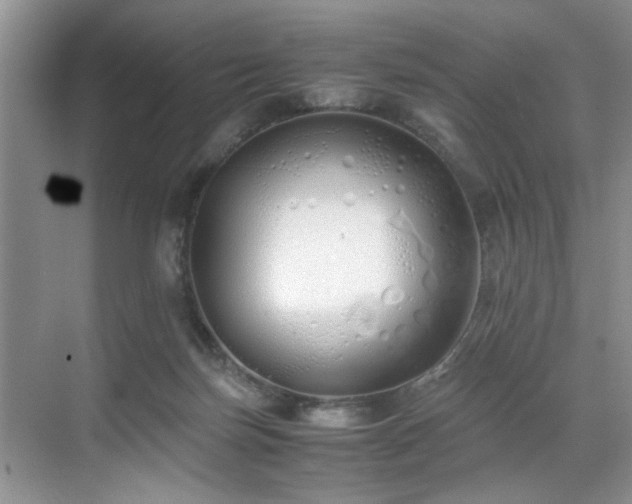 X0000071830171200606301328