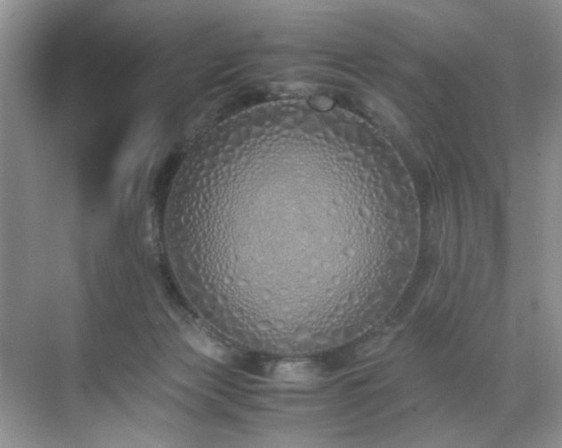 X0000071830173200606301328