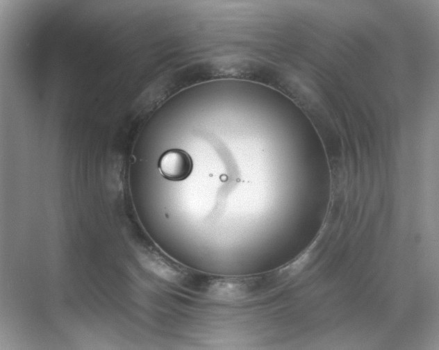 X0000071830174200606301328